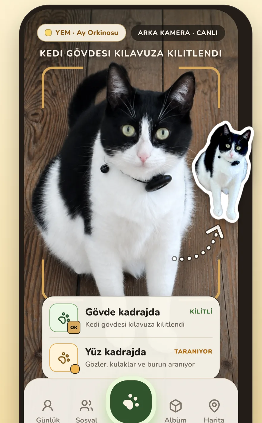 PawCatch kamerası smokin desenli bir kediye kilitleniyor, fotoğraftan çıkartma çıkıyor