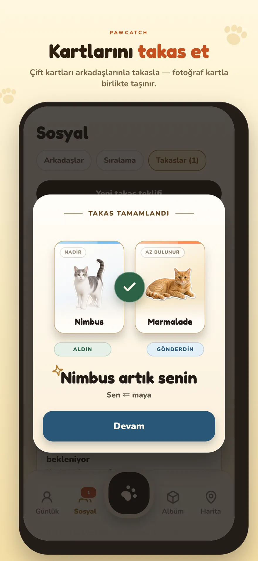 Ekran görüntüsü: Kartları gerçekten takas et